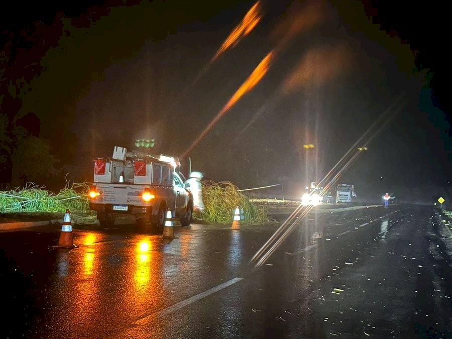 Queda de árvore deixa Batayporã as escuras durante a madrugada.
