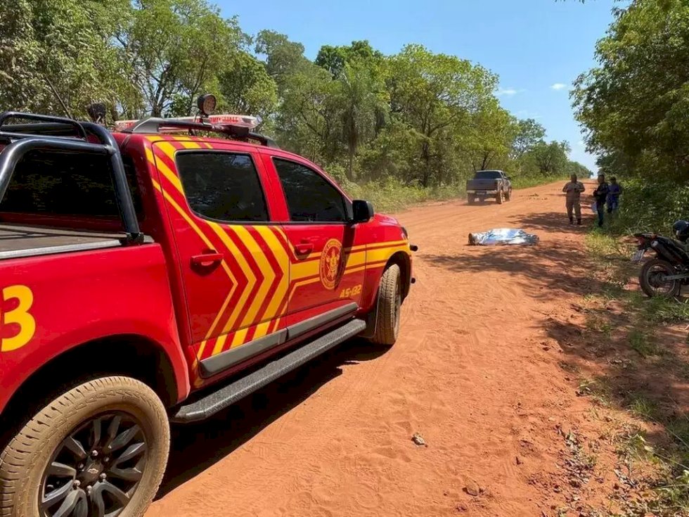 Motociclista atropela anta e morre na estrada .