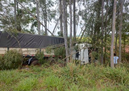 Ivinhema - Motorista perde controle da direção, sai da pista e colide em eucaliptos na BR -376.