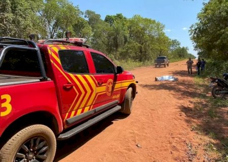 Motociclista atropela anta e morre na estrada .