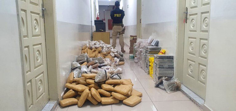 PRF apreende cocaína, skunk e haxixe