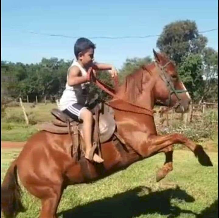 Menino de Batayporã que teria sido picado por escorpião morre em Dourados