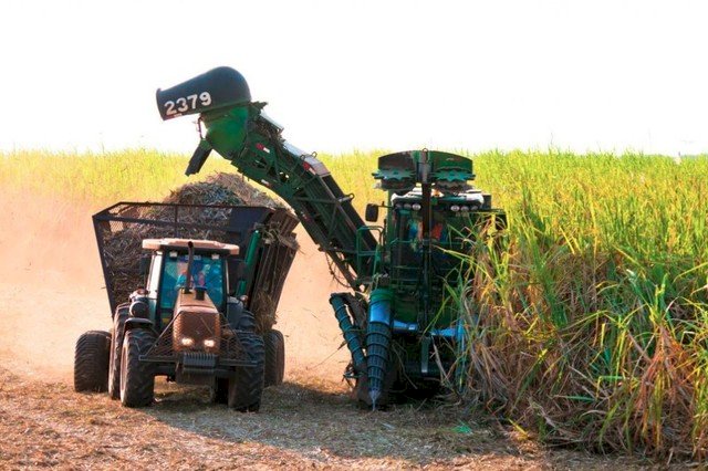 Mesmo com safra ainda em andamento, MS bate recorde de produção açúcar