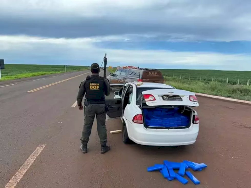 Polícia apreende quase meia tonelada de maconha em rodovia de MS