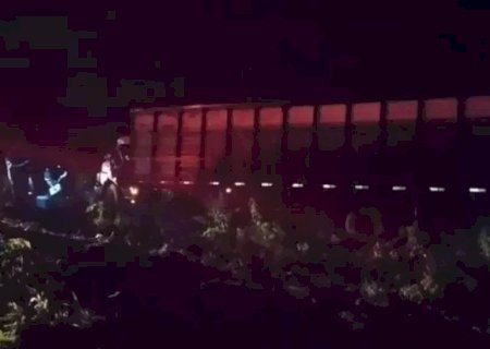 Mulher morre e criança fica ferida após caminhão com cavalos tombar