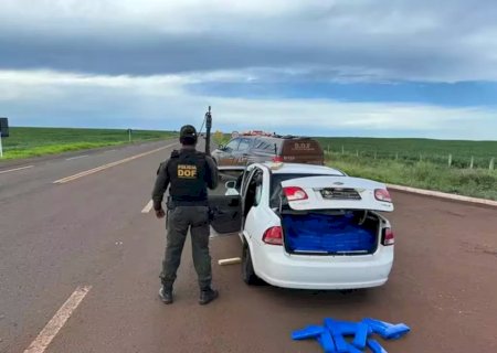 Polícia apreende quase meia tonelada de maconha em rodovia de MS
