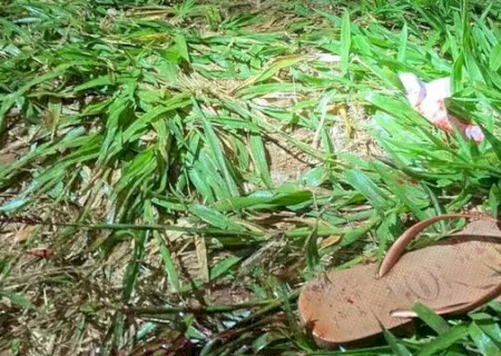 Rapaz é assassinado a facadas no peito e encontrado em matagal