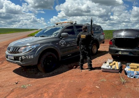 Homem que seguia para Mato Grosso com mais de 50 quilos de drogas é preso pelo DOF