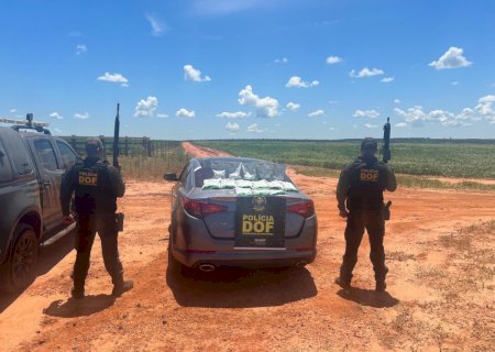 Paraguaio é preso pelo DOF com agrotóxico