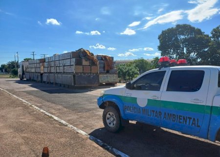 PMA - Veja os resultados da 'Operação Boas Festas'