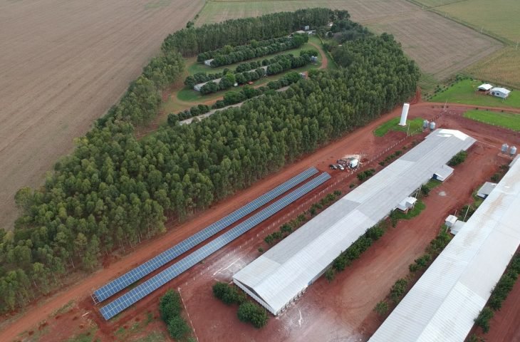 Mundo Novo entra no mapa da avicultura estadual com investimentos de R$ 66 milhões em recursos do FCO