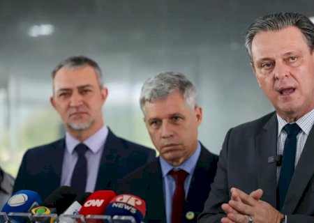 Preço do arroz deve cair nas próximas semanas