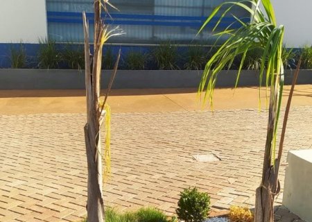 Ivinhema - Polícia Militar prende homem por crime ambiental e porte de arma