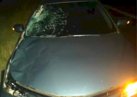 Homem e criança morrem após serem atropelados por carro em rodovia