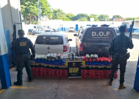 Ação conjunta entre DOF e Exército Brasileiro resulta na apreensão de mais de meia tonelada de drogas