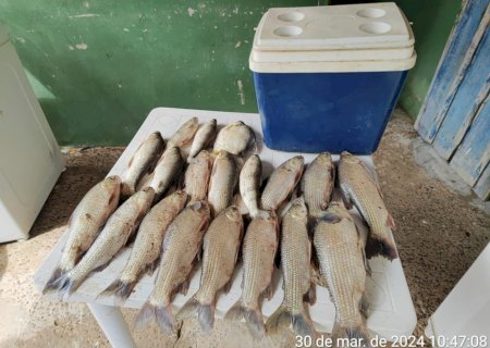 Operação Semana Santa: PMA Intensifica Fiscalização nos Rios e Empreendimentos de Pesca