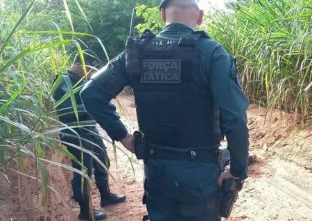 Homem tem crânio quebrado e é encontrado morto em estrada