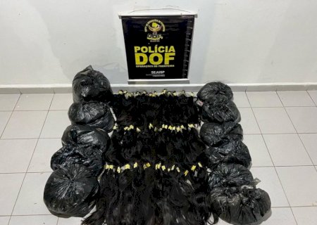 Mais de 40 quilos de cabelo humano de origem boliviana são apreendidos pelo DOF