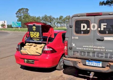 Homem que seguia para Goiás com mais de meia tonelada de maconha é preso pelo DOF