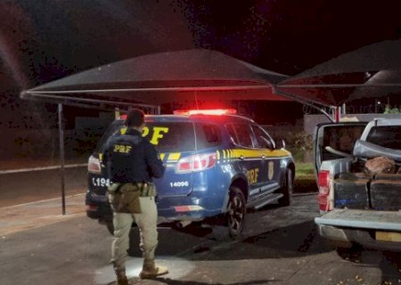 PRF apreende 758 Kg de maconha e recupera caminhonete em Deodápolis