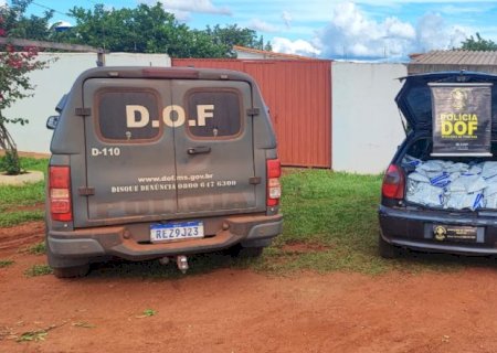 Mais de 600 mil reais em defensivo agrícola ilegal são apreendidos pelo DOF