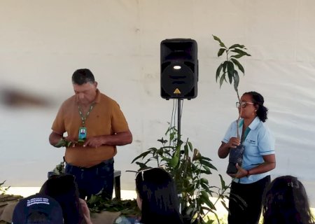 Instrutores de Ivinhema ministram curso  na Oficina da Agraer na Tecnofam é esperança de aumentar produção