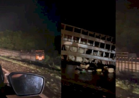 Carreta bitrem carregada com gado tomba na BR-163 em MS
