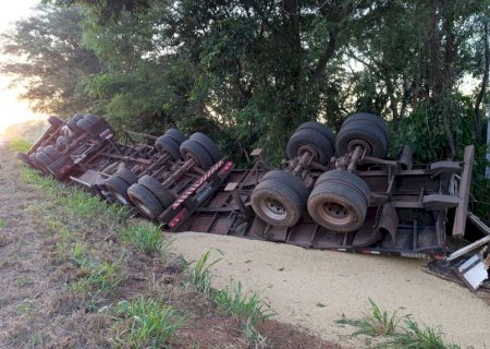 Ivinhema - Carreta que transportava grãos sai da pista e tomba na BR-376, próximo a Vila Amandina