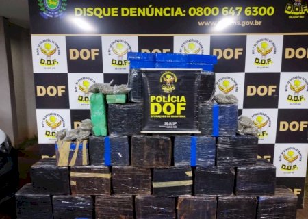 Veículo que seguia para Três Lagoas com mais de meia tonelada de maconha é apreendido pelo DOF