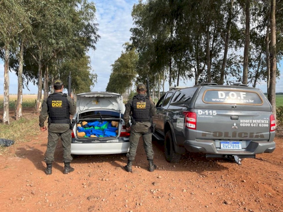 Veículo com quase 300 quilos de maconha é apreendido pelo DOF