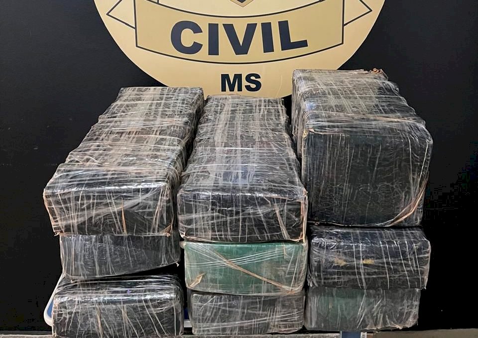 Polícia Civil apreende drogas  e identifica adolescente infrator