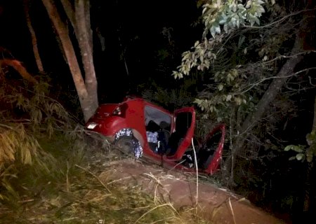 Jovem de 17 anos morre após carro colidir com árvore na MS-339
