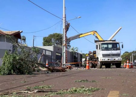 Hilux destrói poste, derruba árvore, deixa bairro sem energia e motorista foge