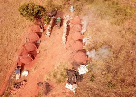PMA autua em 5 mil reais e paraliza trabalho em carvoaria de Ivinhema