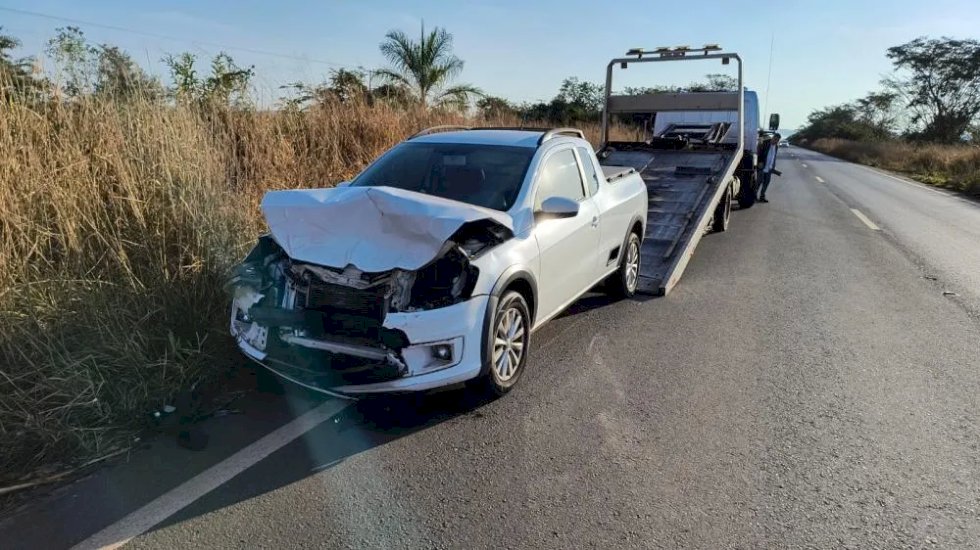 Animal silvestre morre e motorista sai ileso após acidente na MS 395