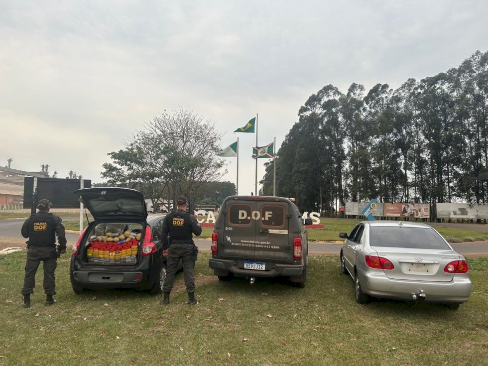 Homens que seguiam com maconha para São Paulo são presos pelo DOF
