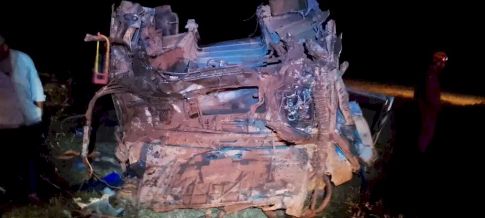 Carreta de boi cai em vala, motorista sai ileso e animais morrem na rodovia