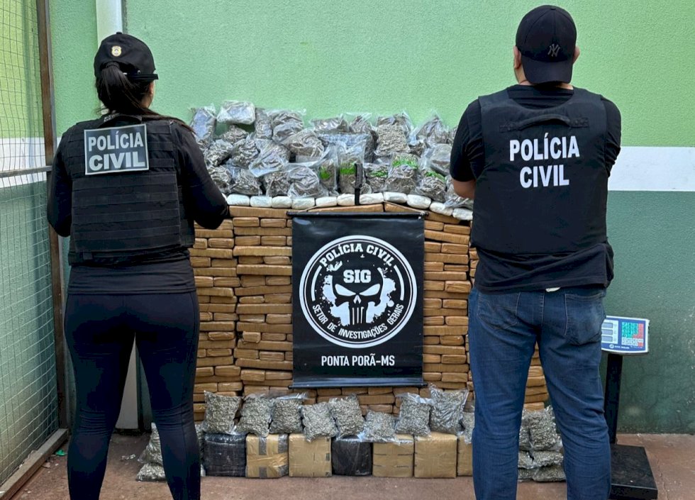 Polícia Civil fechou um armazém de depósito de Maconha e skunk
