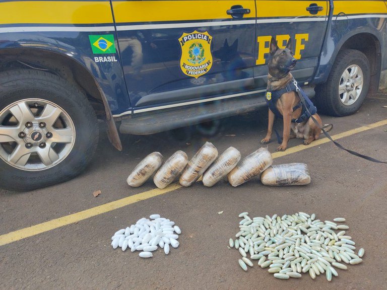 Com auxílio de cães farejadores, PRF apreende cocaína e skunk em ônibus na BR-262