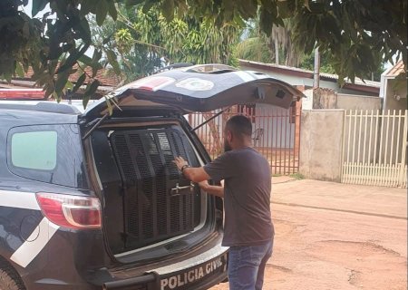Delegacia de Polícia Civil já capturou cinco acusados de estupro de vulneráveis e abusos sexuais