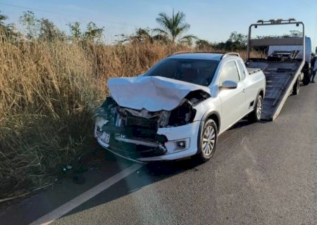 Animal silvestre morre e motorista sai ileso após acidente na MS 395