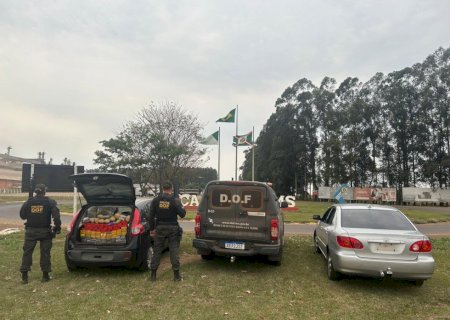 Homens que seguiam com maconha para São Paulo são presos pelo DOF