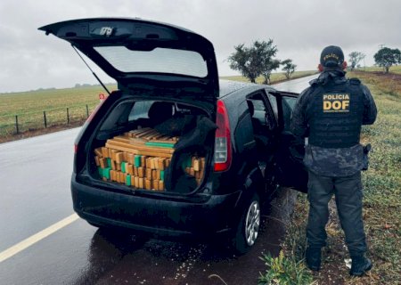 DOF apreende mais de 500 quilos de drogas e recaptura foragido da justiça