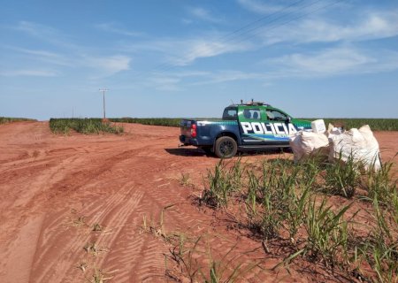 PMA de Batayporã autua empresa em R$ 89.000.00 reais por armazenamento irregular de embalagens de veneno