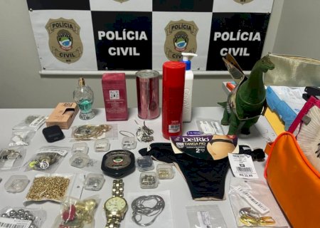 Polícia Civil prende autor de furto em Ribas do Rio Pardo