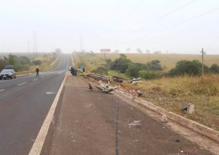 Caminhão com abacaxis parte ao meio após cair em ribanceira e motorista morre