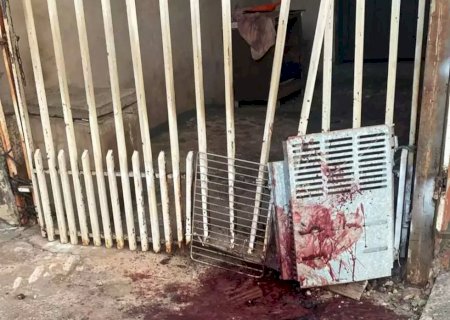 Pitbulls são mortos a tiros por PM ao atacar e matar cães