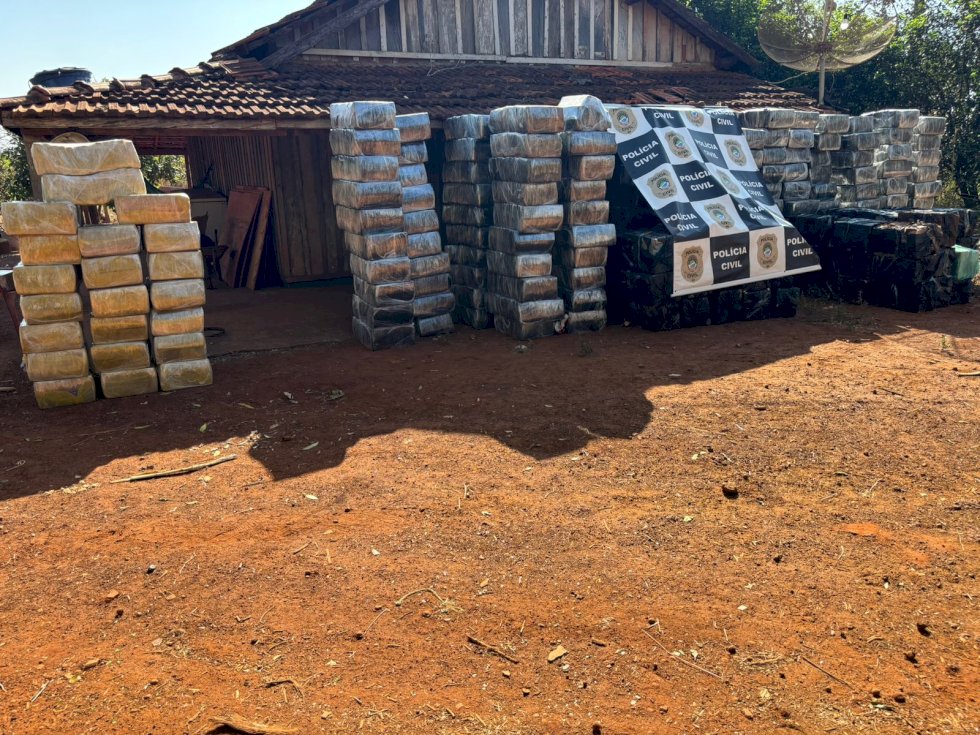 Polícia Civil realiza a maior apreensão de maconha da história de Itaporã e prende responsável pelo tráfico