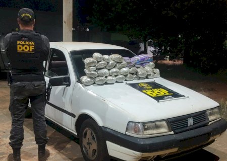 DOF apreende maconha e skunk em fundo falso de veículo que seguia para o Paraná