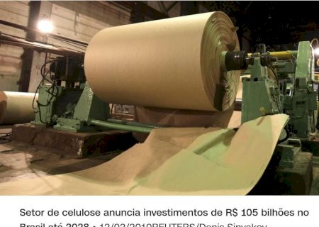 Setor de celulose anuncia investimentos de R$ 105 bilhões no Brasil até 2028